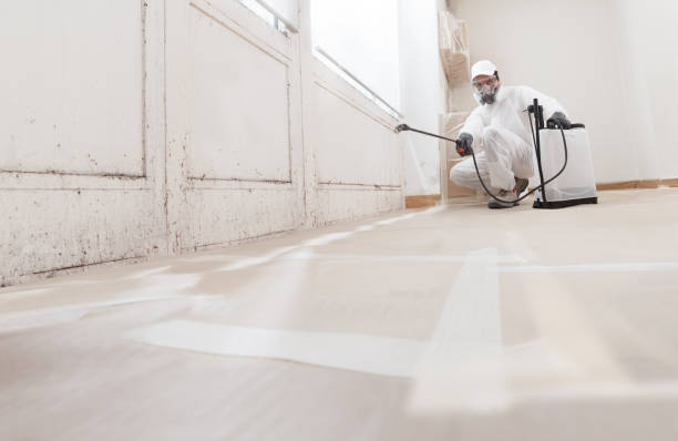 24/7 Emergency Mold Remediation experts in Barnesville, MD