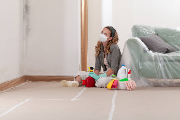 Reliable Mold Remediation contractor in Barnesville, MD by 24 Hour Mold Removal