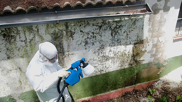 Top rated local Mold Remediation specialists in Barnesville, MD